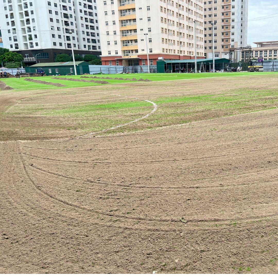 Dự án sân bóng chung cư Ecolife