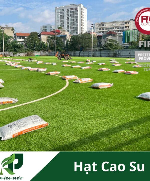 Hạt cao su sân bóng 7 Hạt cao su