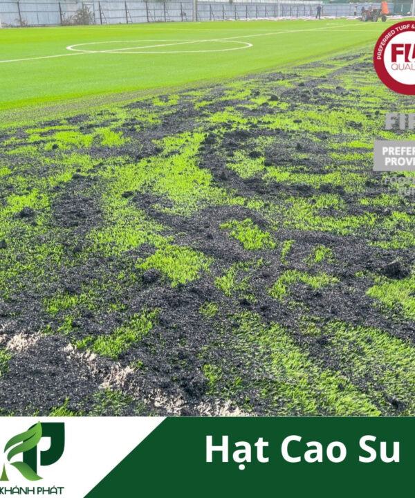 Hạt cao su sân bóng 6 Hạt cao su