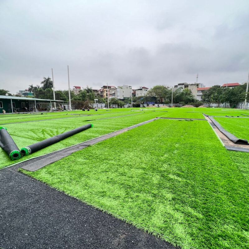 Dự án sân bóng chung cư Ecolife