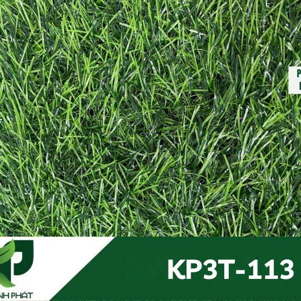 Cỏ Nhân Tạo Sân Vườn KP3T-113 6 a3 2