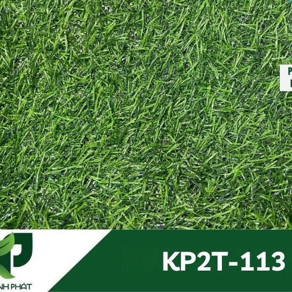 Cỏ nhân tạo sân vườn KP2T-113 6 t3