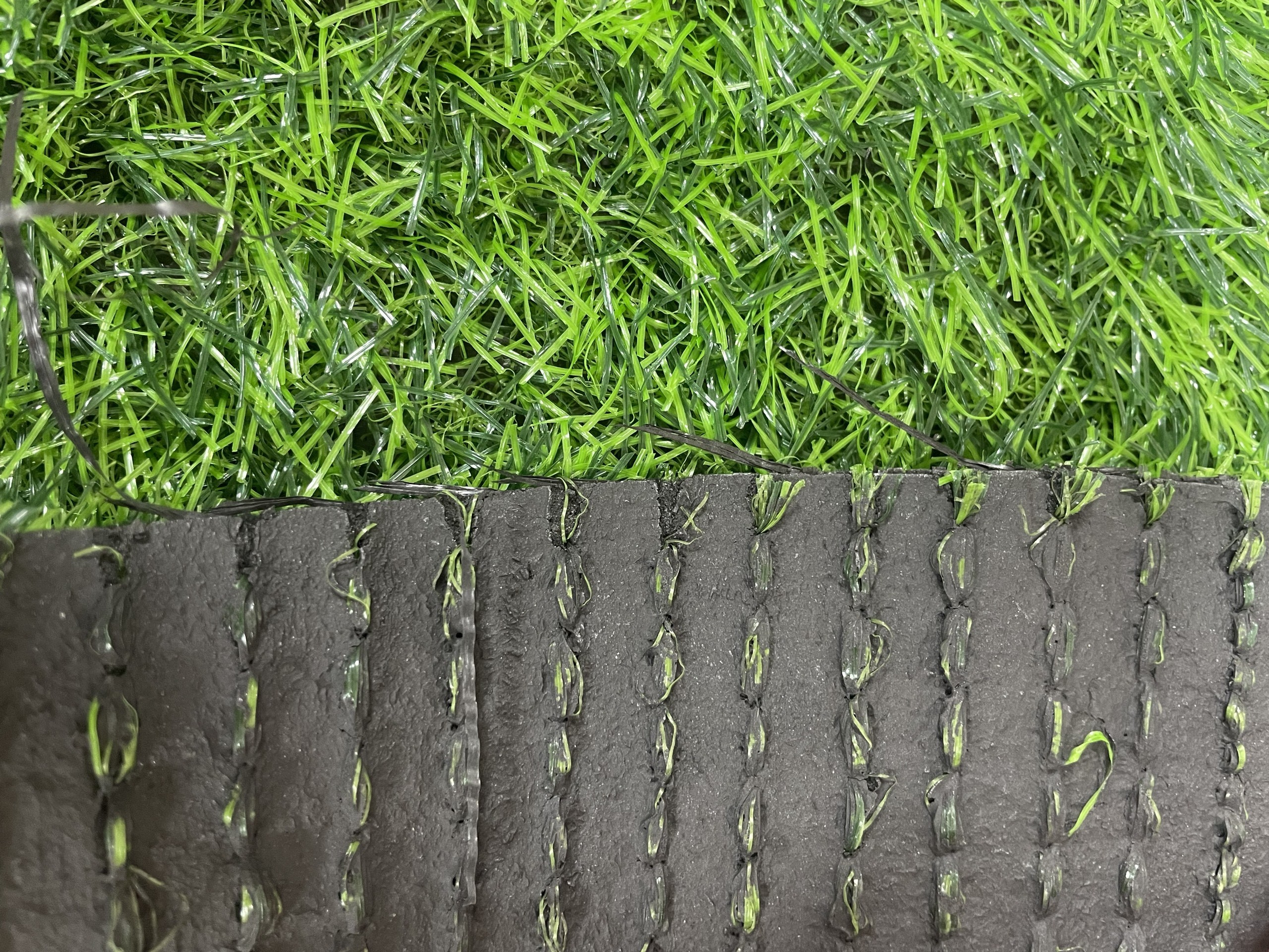 z6430742977539 66db6ed4a4cdd15776c49b0f62a2fa0d