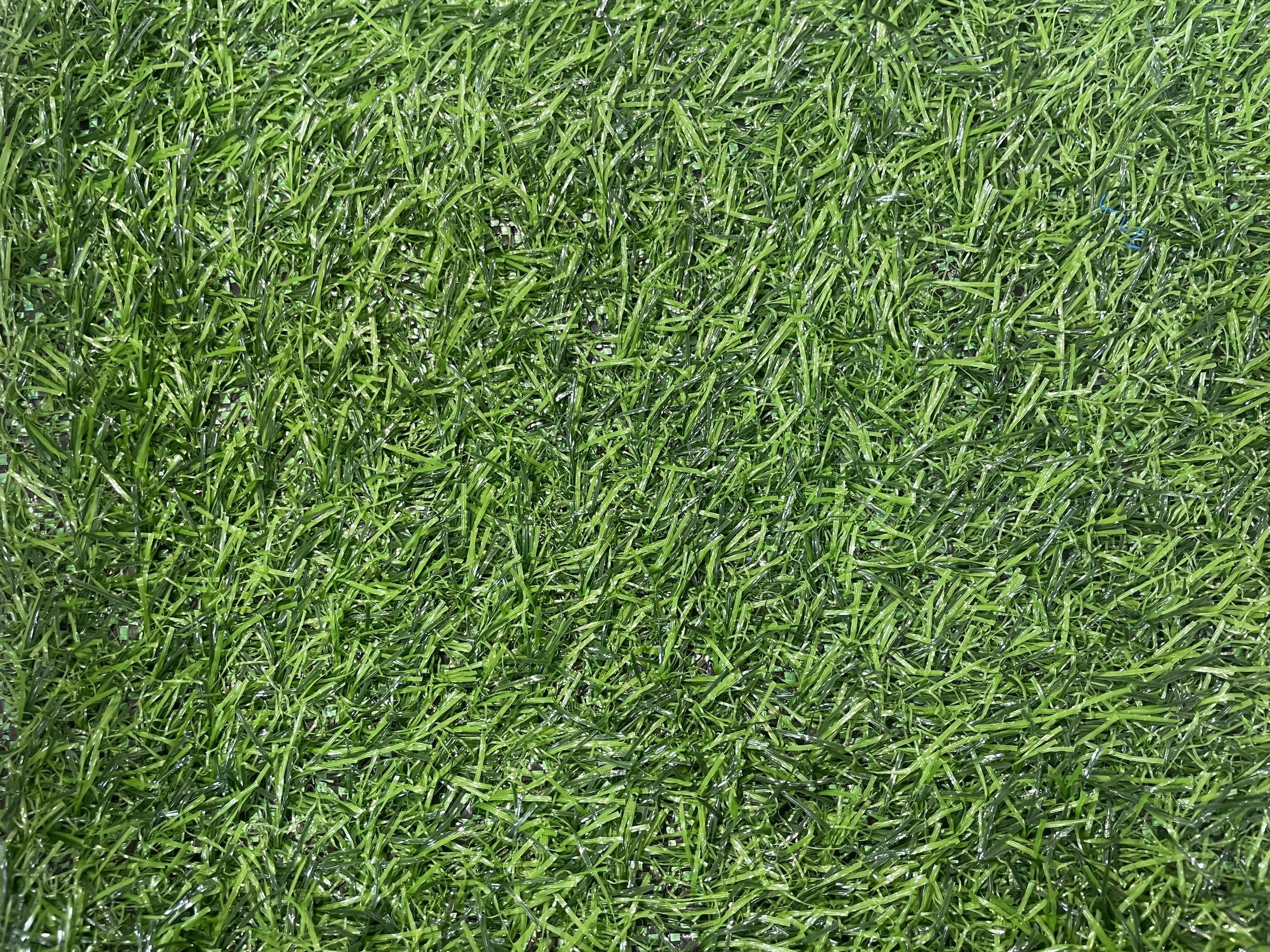 Cỏ nhân tạo sân vườn KP2T-113 8 z6430841347862 42686af093568bdcc3e9a4b154683913 1