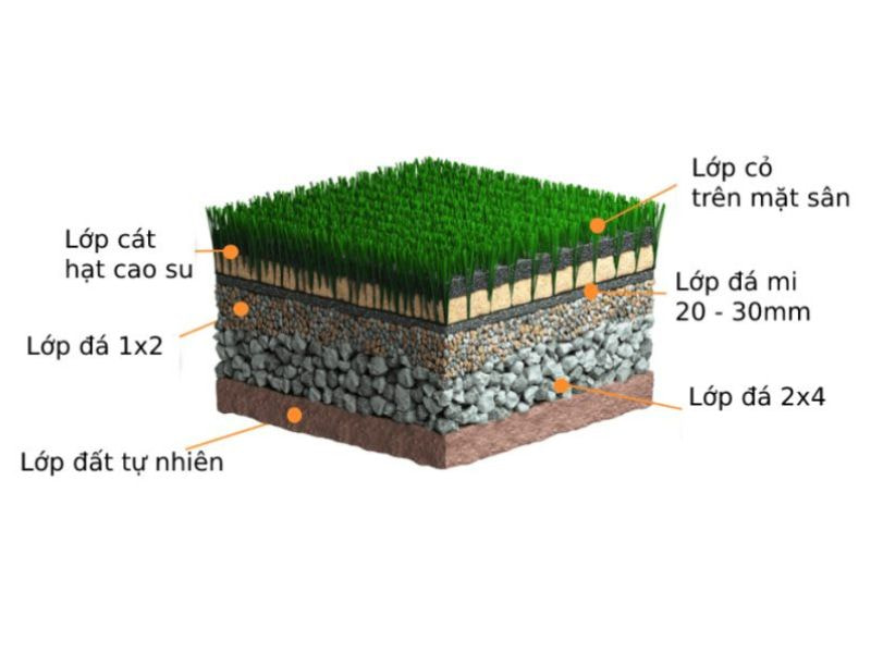 Cỏ nhân tạo sân bóng