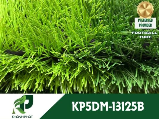 KP5DM 13125B.1