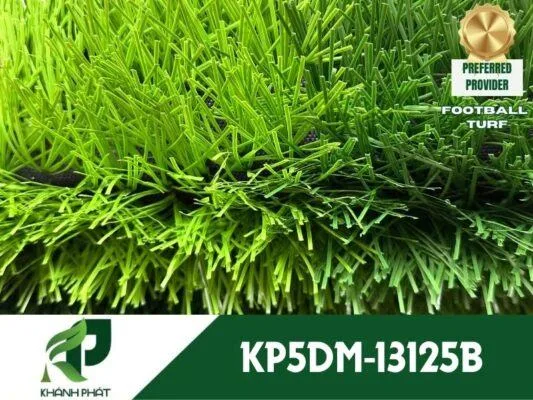 KP5DM 13125B.1