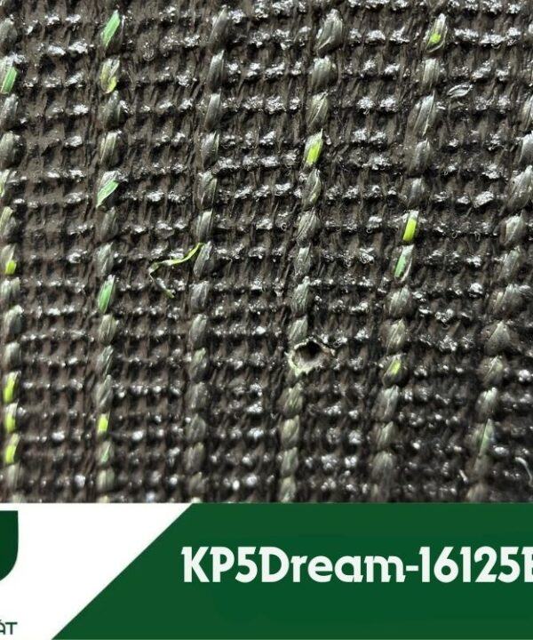 Cỏ Nhân Tạo Sân Bóng KP5Dream-16125B-FIFA 6 KP5Dream 16125B FIFA.4