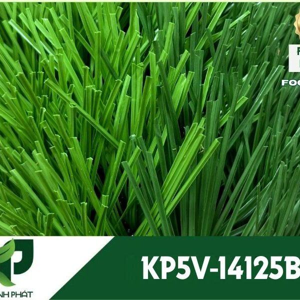 Cỏ Nhân Tạo Sân Bóng KP5V-14125B 7 KP5V 14125B.1