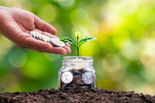 Lý do sân bóng là một mô hình kinh doanh tiềm năng 7 dau tu