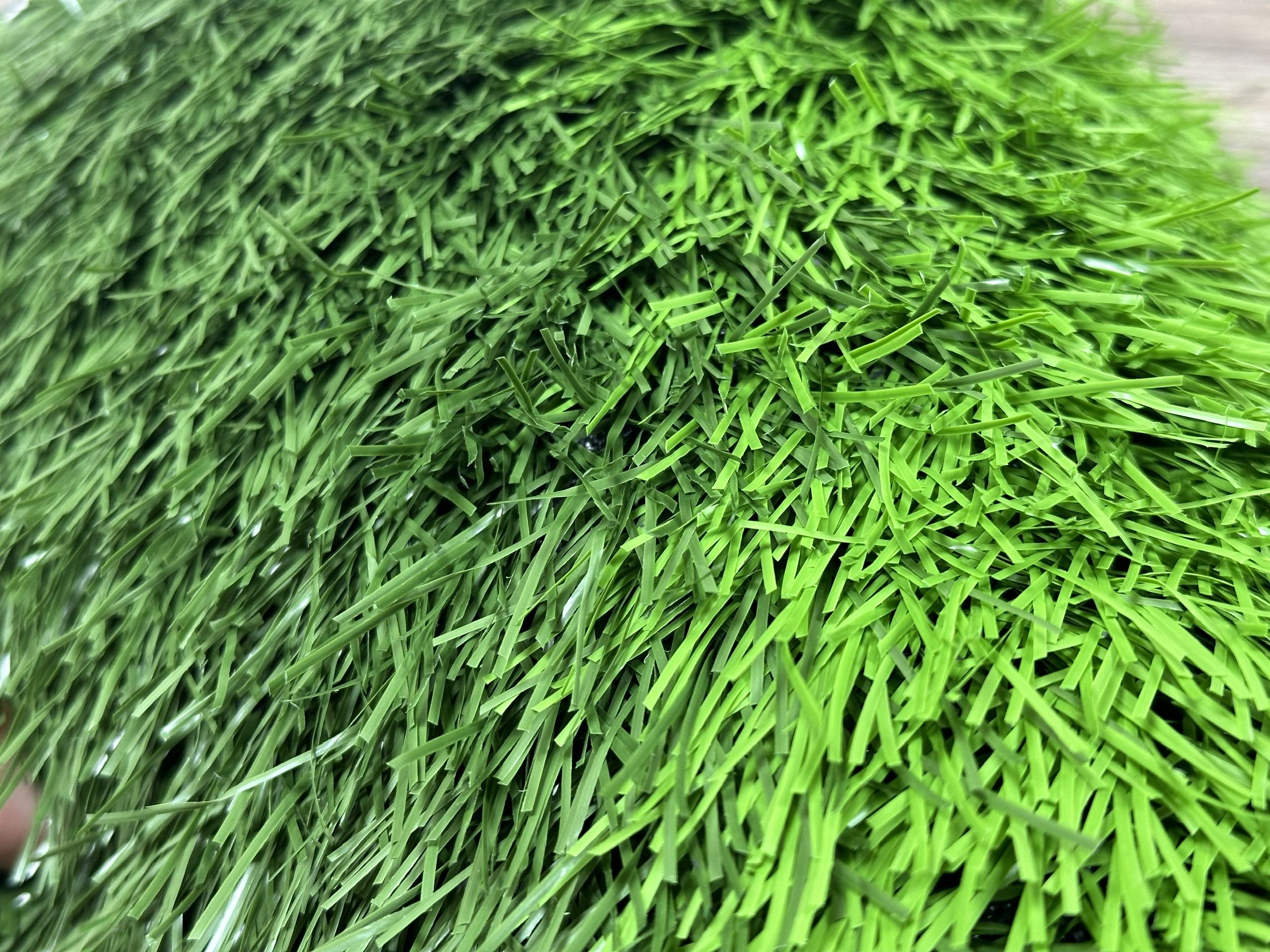 z6112969473115 3c77bd0b412d915aca33f60b0b5521f2