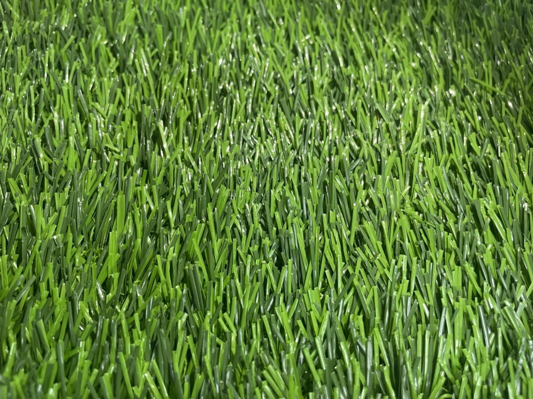 z6161229725969 245a8af4963d245df76e6694c951c81d e1735291691476
