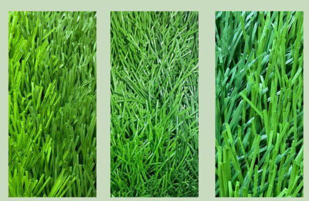 BIA CO NT scaled e1739872860396