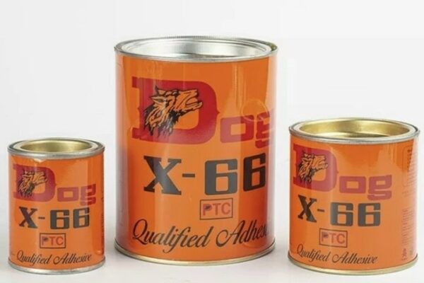 Dog X 66
