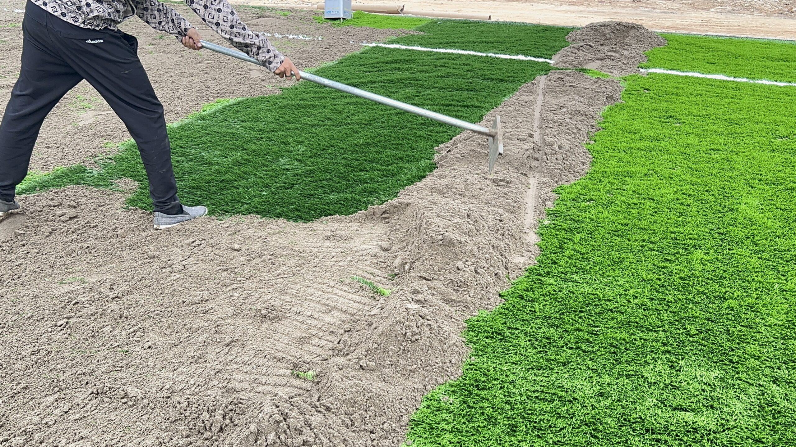 Vì Sao Cần Phải Rải Cát Và Hạt Cao Su Sân Bóng Cỏ Nhân Tạo 14 IMG 7063 scaled