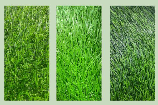 bia co 1 scaled e1739872732541