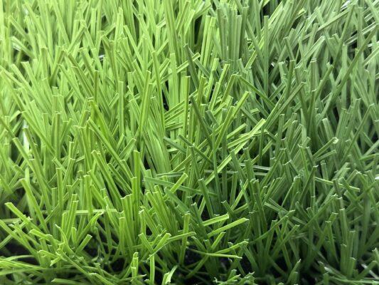 z6135789425129 bdf1a6a3308eef9f9c1ccb0915ca4a0f