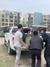 Cỏ Nhân Tạo Thanh Lý Giá Rẻ (chỉ từ 50k) 11 73ea22912bd19b8fc2c06