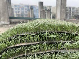 Cỏ Nhân Tạo Thanh Lý Giá Rẻ (chỉ từ 50k) 10 78a532a5a45815064c491