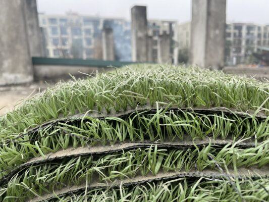 78a532a5a45815064c491