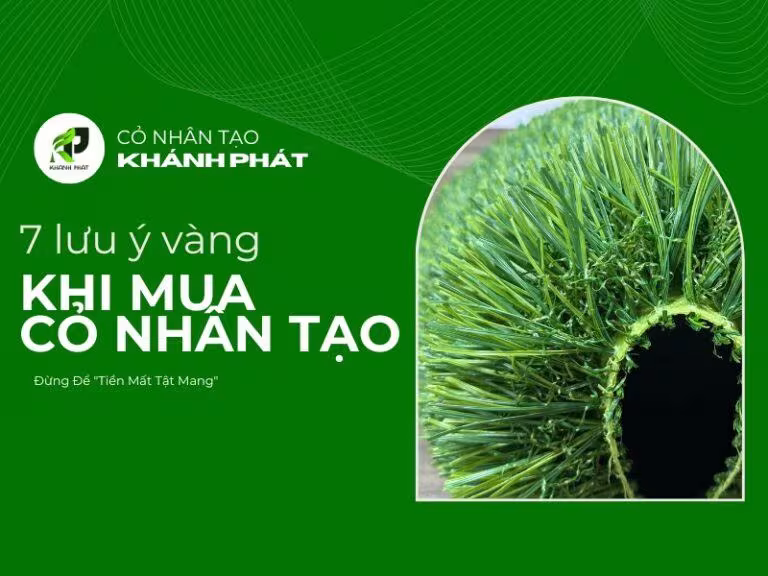 Mẫu cỏ nhân tạo cần kiểm tra kỹ trước khi mua Mẫu cỏ nhân tạo cần kiểm tra kỹ trước khi mua