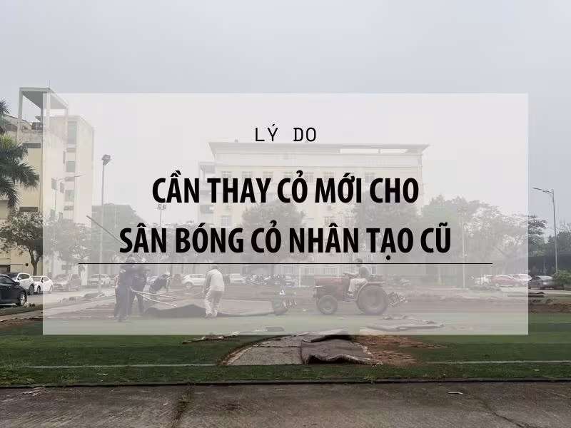 Mặt sân bóng cỏ nhân tạo cũ cần thay cỏ mới