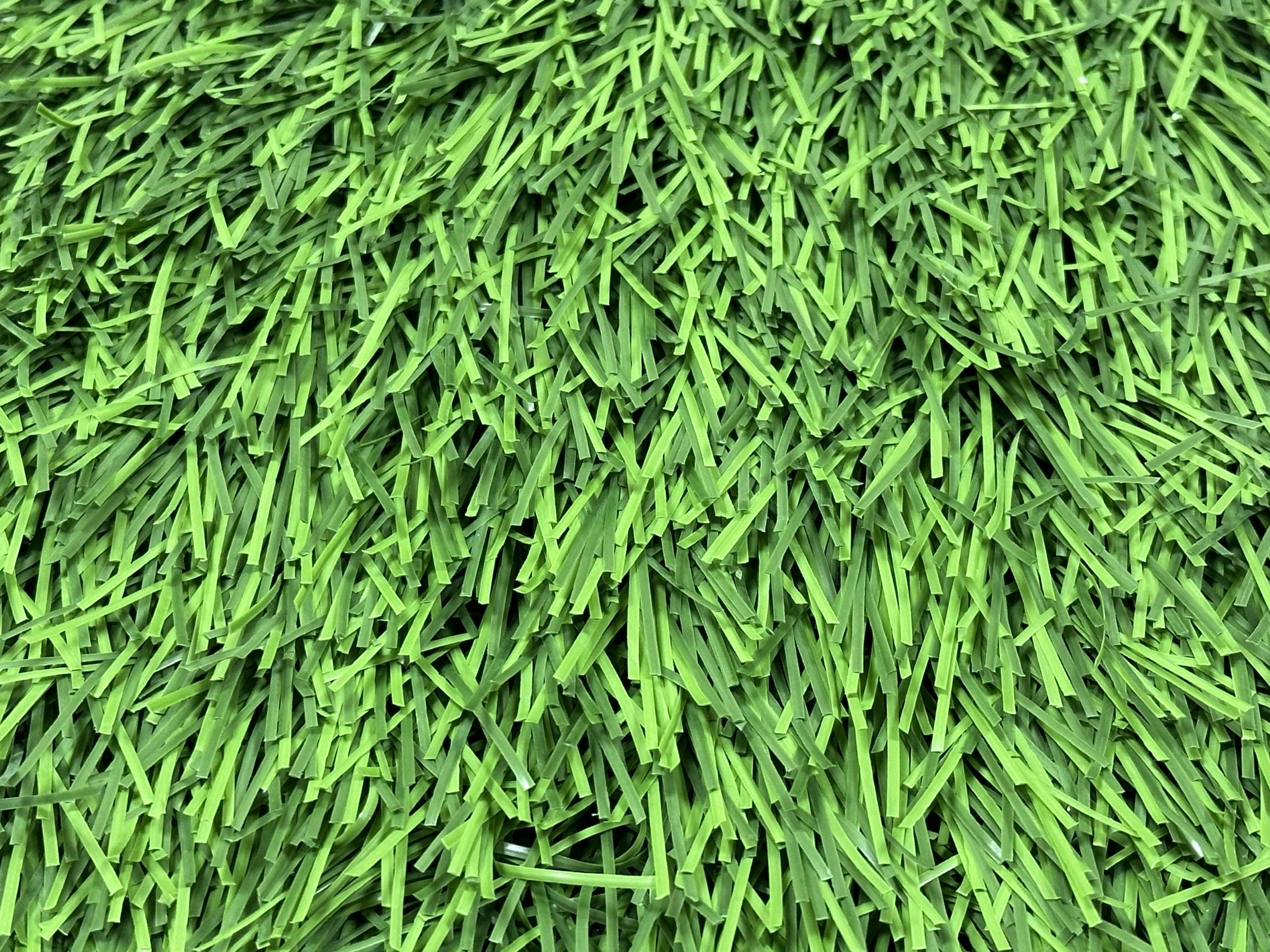 Tiêu Chí Chọn Mua Cỏ Nhân Tạo Sân Bóng 16 z6134568263988 2cd94ce450b1ee8f392c8cef3f86c60a