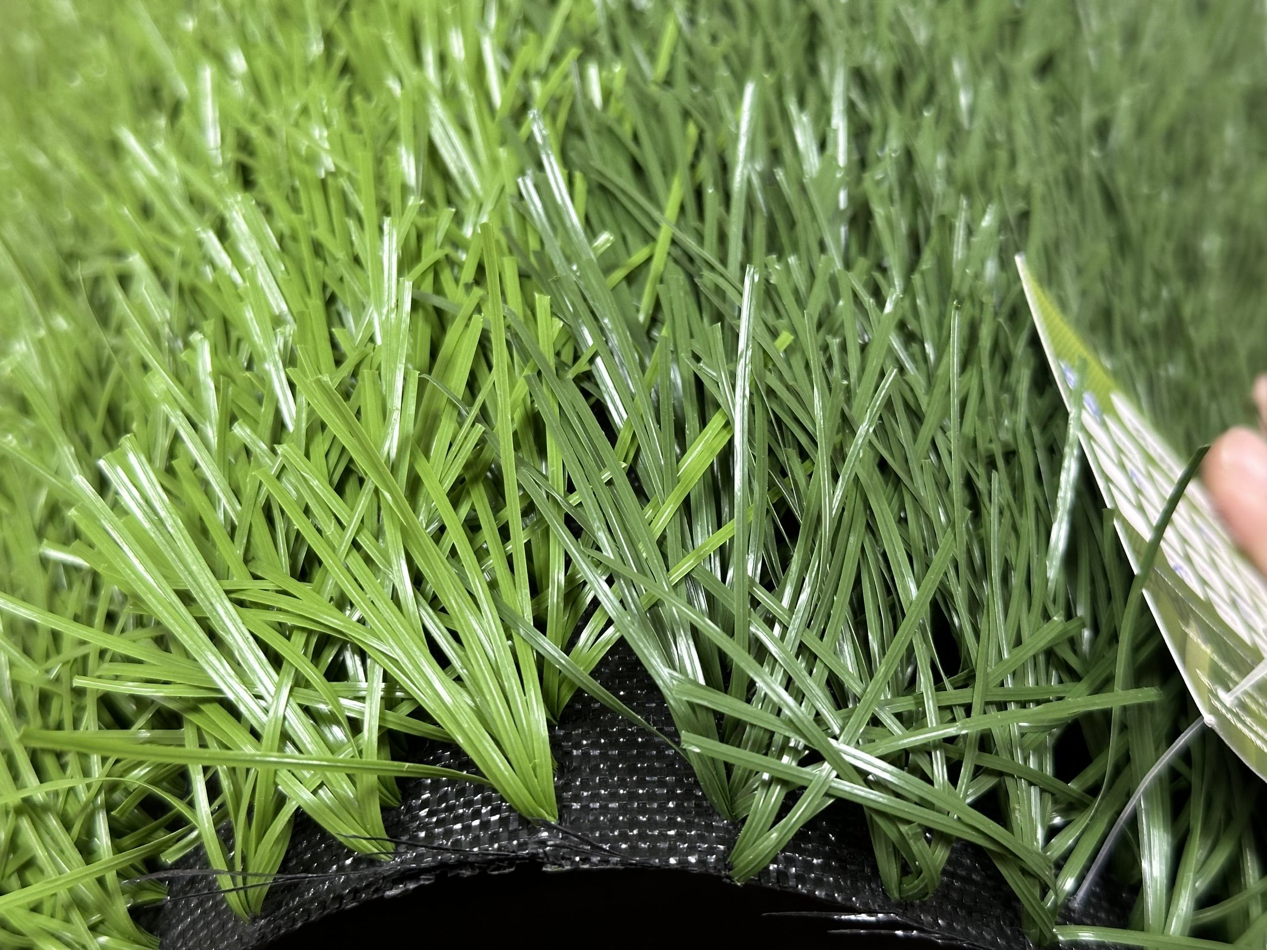 z6134707961543 c8c4cacffc741cb075a1fe7645851367