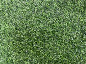 Cỏ Nhân Tạo Thanh Lý Giá Rẻ (chỉ từ 50k) 8 z6430841018892 ad3f4ded1ca547289e79dd25553f59be