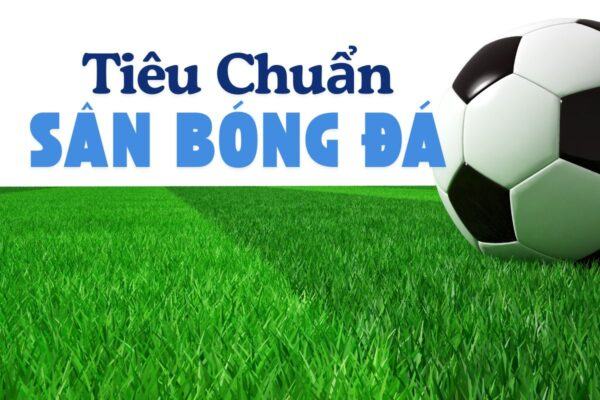 Tieu Chuan San Bong Da Huong Dan Toan Dien Tu Chuyen Gia
