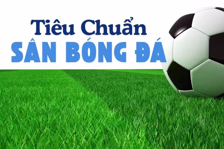 Tieu Chuan San Bong Da Huong Dan Toan Dien Tu Chuyen Gia Tieu Chuan San Bong Da Huong Dan Toan Dien Tu Chuyen Gia