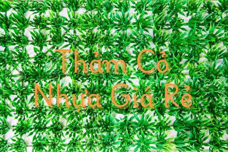 Tham Co Nhua Gia Re