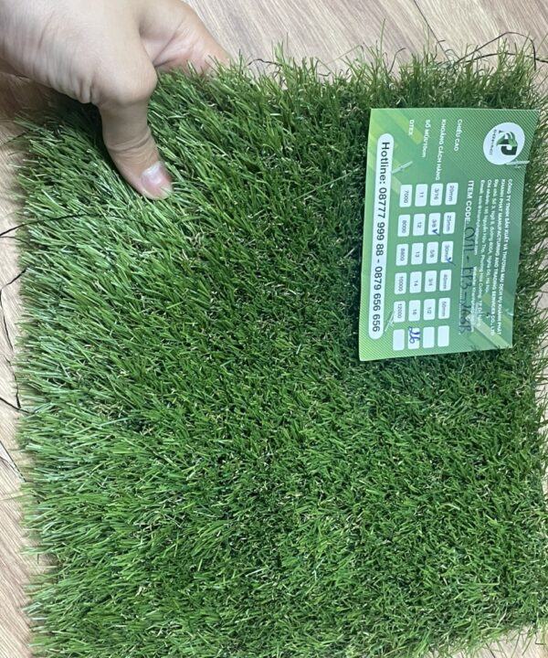 Cỏ Nhân Tạo Sân Vườn CVTL-KP3C-263B 9 z6999129927311 1487afb9f04d7b41298322ddb0248742