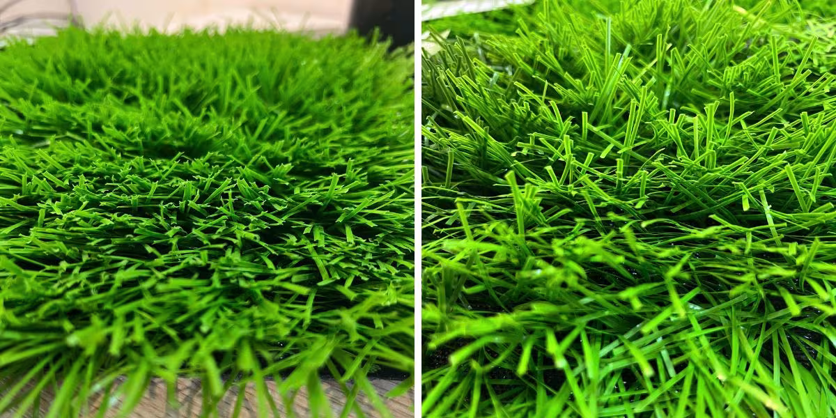 So sánh cỏ sợi kim cương tiết diện hình thoi và sợi gân tiết diện dẹt