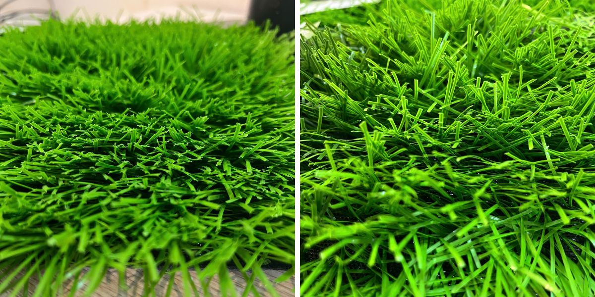 So sánh cỏ sợi kim cương tiết diện hình thoi và sợi gân tiết diện dẹt