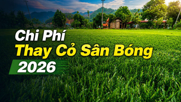 Chi Phí Thay Cỏ Sân Bóng 2026: Bảng Giá Theo Loại Cỏ Và Cách Tiết Kiệm Chi Phí Thay Cỏ Sân Bóng 2026: Bảng Giá Theo Loại Cỏ Và Cách Tiết Kiệm