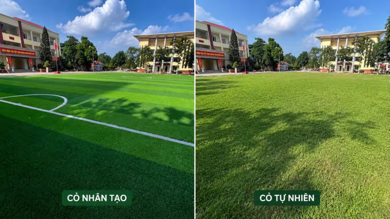 So sanh be mat san bong co nhan tao va co tu nhien So sanh be mat san bong co nhan tao va co tu nhien