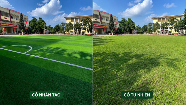 So sanh be mat san bong co nhan tao va co tu nhien