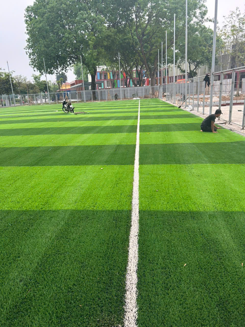 đường line giữa sân bóng cỏ nhân tạo Trường Lê Hữu Tự