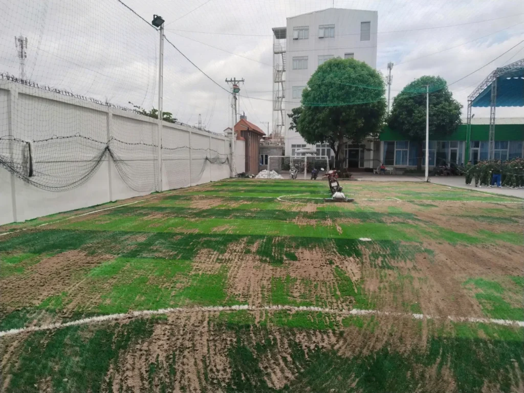 Chải cỏ và phân bổ cao su chuyên dụng trên sân bóng Phùng Hưng