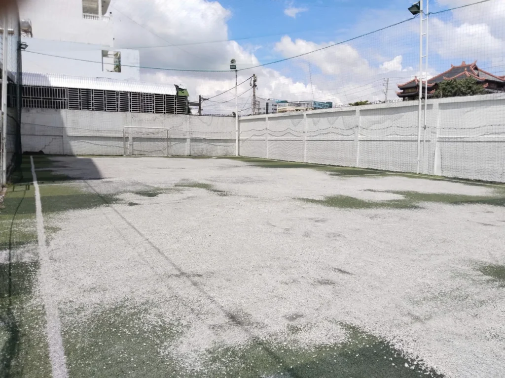 Mặt cỏ cũ của sân bóng Trường Phùng Hưng trước khi trải đè cỏ mới